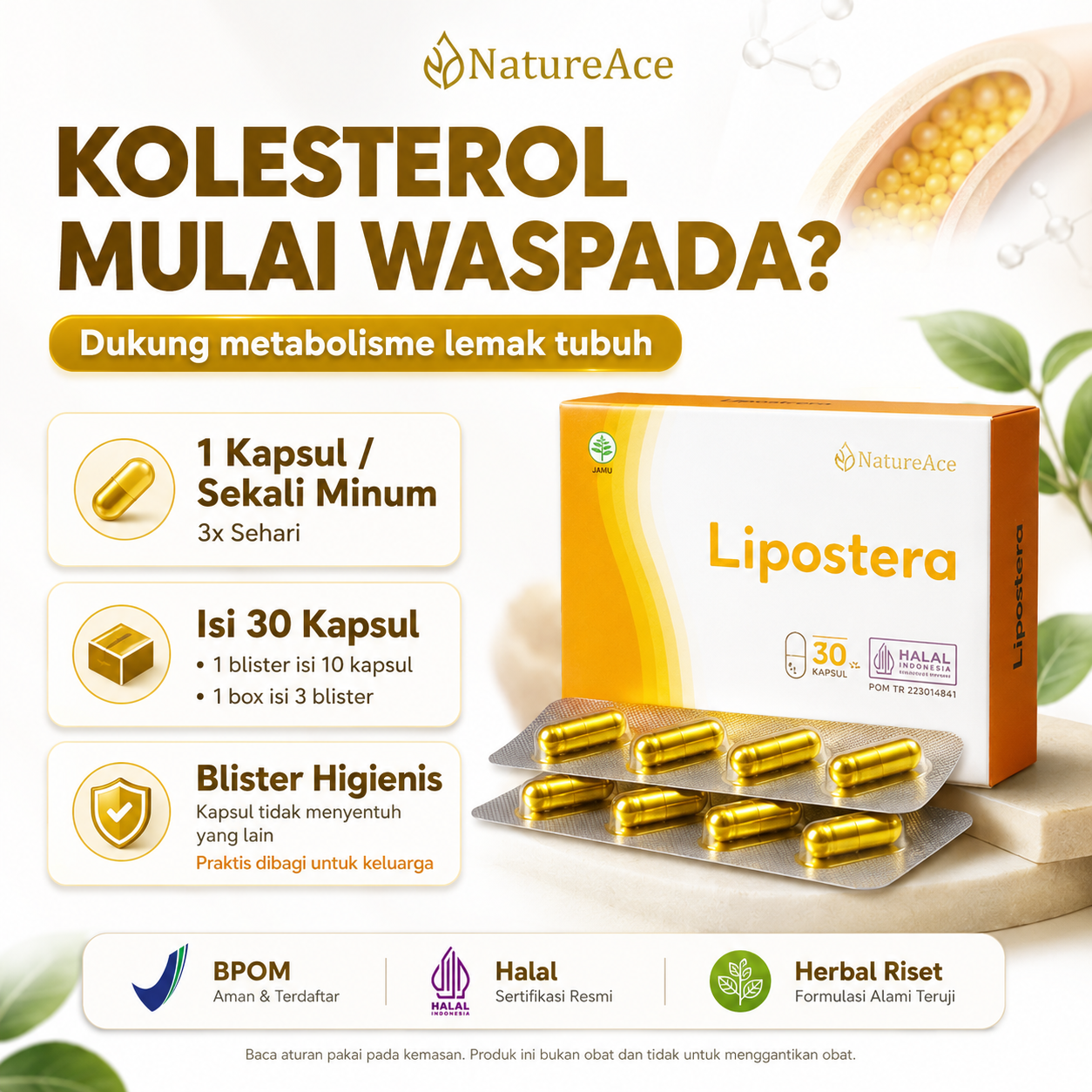 Lipostera
