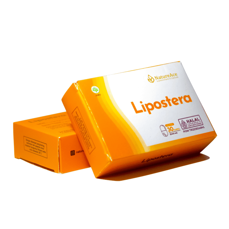 Lipostera - Gambar 2