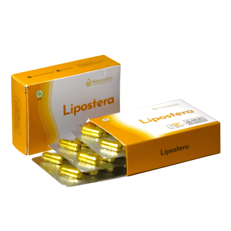 Lipostera