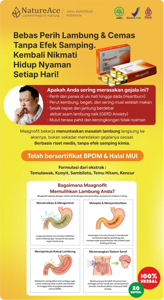 Maagnofit Meta Gambar 1