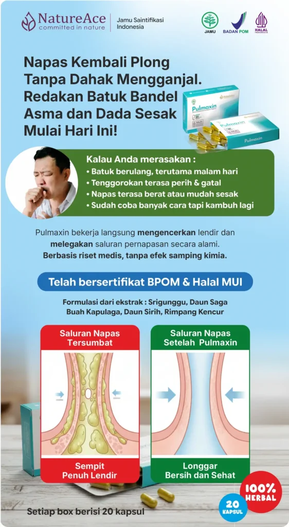 Pulmaxin Meta Gambar Cowok v3