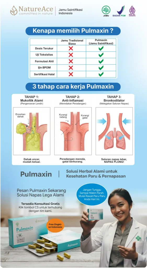 Pulmaxin Meta Gambar Cowok v3 2